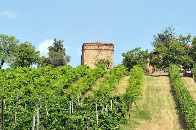 Wine Experience Bologna Hills - Key Points