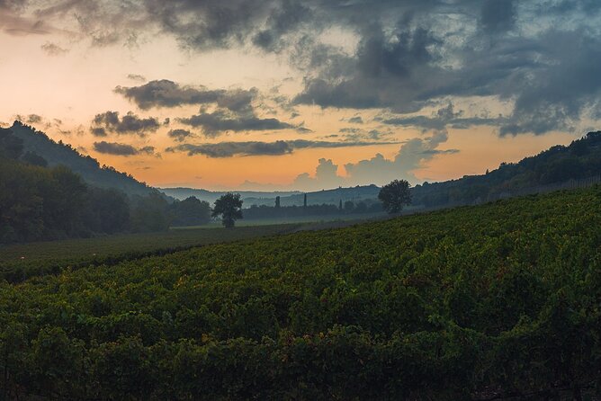 Wine Tasting by Carusvini in San Casciano in Val Di Pesa - Key Points