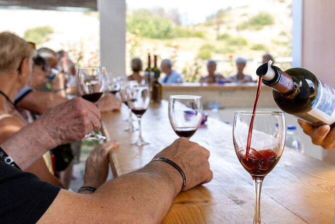 Wine Tasting in Rhodes, Inside the Vineyards With the Producer - Wine Tasting Experience Overview