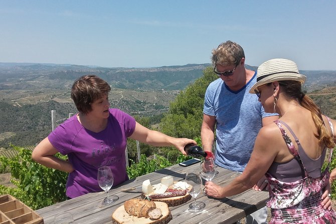 WINE TOUR PRIORAT: Visit 2 Top Wineries, Wine Tasting & Gourmet Lunch - Key Points