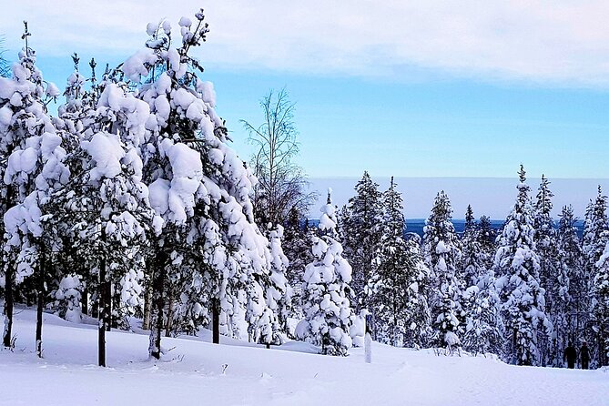 Winter Wilderness Hiking - Key Points