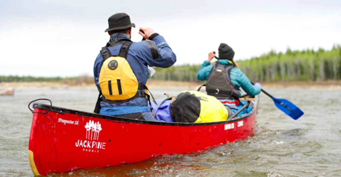 Yellowknife Bay: Guided Canoe and Kayak Tour - Key Points