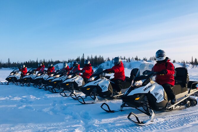 Yellowknife Snowmobile Tours Drive by Your Own 1 Hour - Key Points