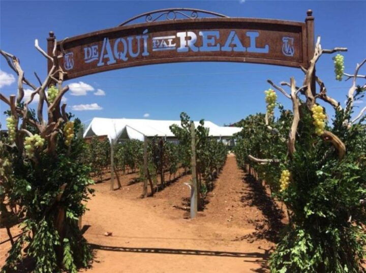 Zacatecas: Campo Real Winery Tour - Activity Details