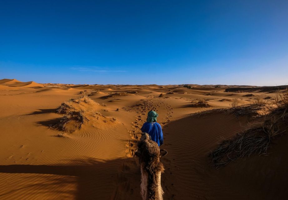 Zagora Desert Adventure - Key Points