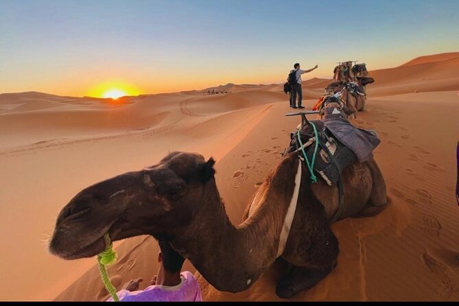 Zagora M’Hamid, 3 Days Tour to Erg Chigaga Desert From Marrakech