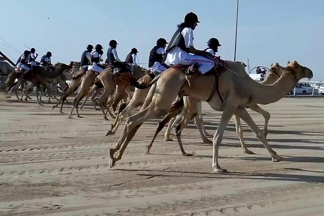 Zekreet Rock Formation, Richard Serra Tour & Camel Race Tour - Key Points