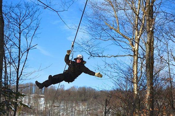 Ziplines and Hike Mont Tremblant (2h) - Key Points