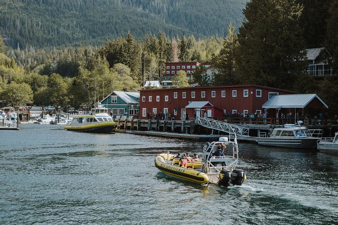 Zodiac Whale Watching Adventure From Telegraph Cove - Key Points
