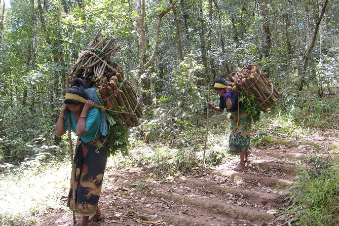 1 Day Hike to Jamacho Monastery - Trail Overview