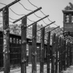1 day private tour stutthof concentration camp and malbork castle 1-Day Private Tour Stutthof Concentration Camp and Malbork Castle