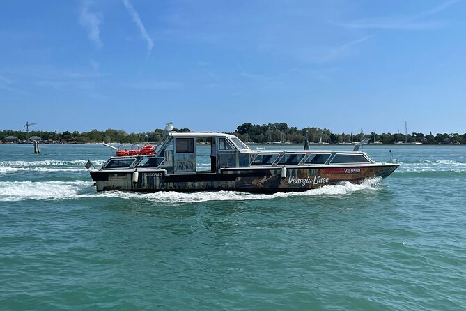 1-Hour Panoramic Tour of Venice by Boat