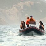 1 1 5 hour seal viewing boat tour in plettenberg bay 1.5-Hour Seal Viewing Boat Tour in Plettenberg Bay
