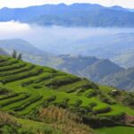 1 1 day private tour sapa trekking y linh ho lao chai ta van start from sapa 1 Day Private Tour Sapa Trekking Y Linh Ho - Lao Chai - Ta Van (Start From Sapa)