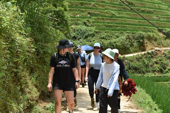 1-Day Private Trekking in Sapa Through Terraces Rice Fields