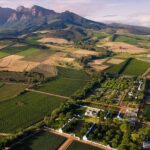 1 1 day winelands explore of stellenbosch franschhoek paarl regions 1 Day Winelands Explore of Stellenbosch Franschhoek Paarl Regions