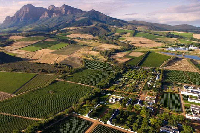 1 Day Winelands Explore of Stellenbosch Franschhoek Paarl Regions