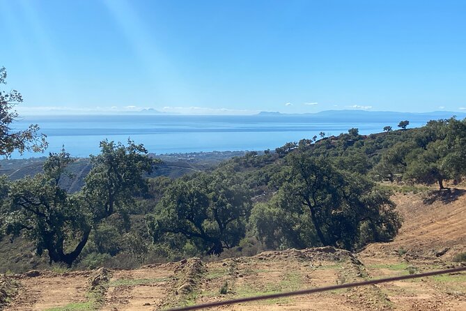 1 Hour Buggy Tour Off-Road Adventure in Mijas