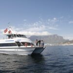 1 1 hour coastal catamaran cruise from cape town 1 Hour Coastal Catamaran Cruise From Cape Town