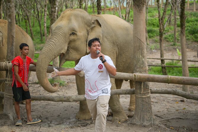 1 1 hour guided khaolak elephant sanctuary observation tour 1-Hour Guided Khaolak Elephant Sanctuary Observation Tour