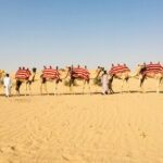 1 1 hour private camel ride in deep desert 1 Hour Private Camel Ride in Deep Desert