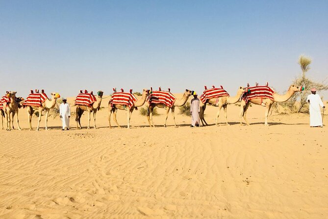1 Hour Private Camel Ride in Deep Desert