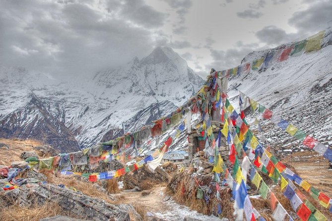 10 Days Annapurna Poon Hill Ghorepani Ghandruk Homestay Trek