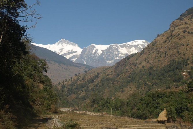 10 Days Annapurna Sikles Village Homestay Hike