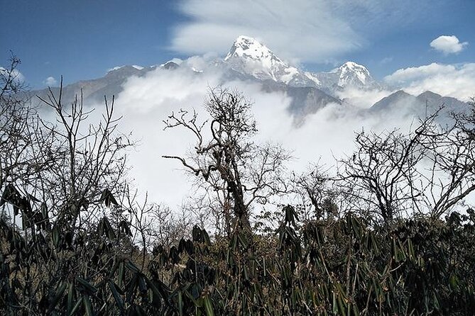 11 Days Khopra and Khayer Lake Trek in Annapurna Region - Trail Difficulty