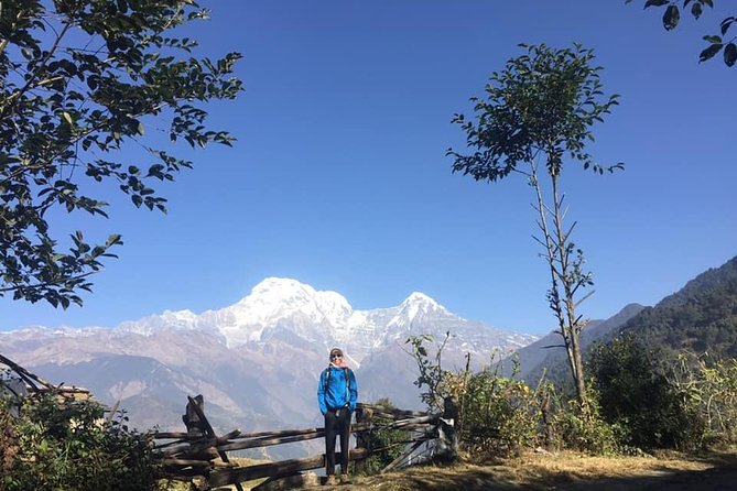 12 Days Annapurna Round Trek From Pokhara