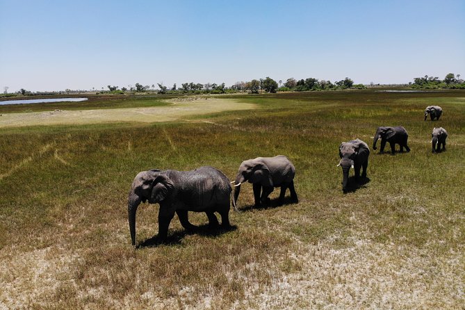 14-Day Kruger to the Delta, Chobe & Victoria Falls (Small Group Safari)