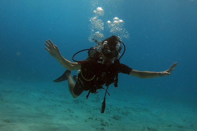 1st Life Experience Scuba Diving in Cancun FREE Photos/Videos