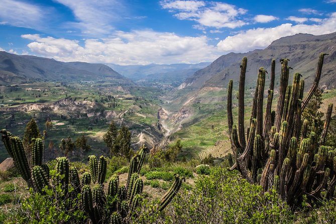 2 Day – Colca Canyon and Condor Tour From Arequipa, Peru – Group Service