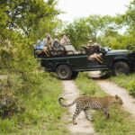 1 2 day kruger national park safari from johannesburg 2-Day Kruger National Park Safari From Johannesburg