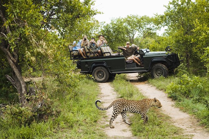 2-Day Kruger National Park Safari From Johannesburg