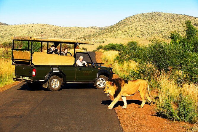 2 Day Private Pilanesberg Guided Tour