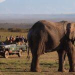 1 2 day safari experience from cape town 2 Day Safari Experience From Cape Town