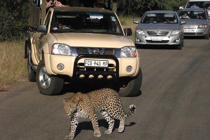 2-Day Safari Tour in Kruger National Park