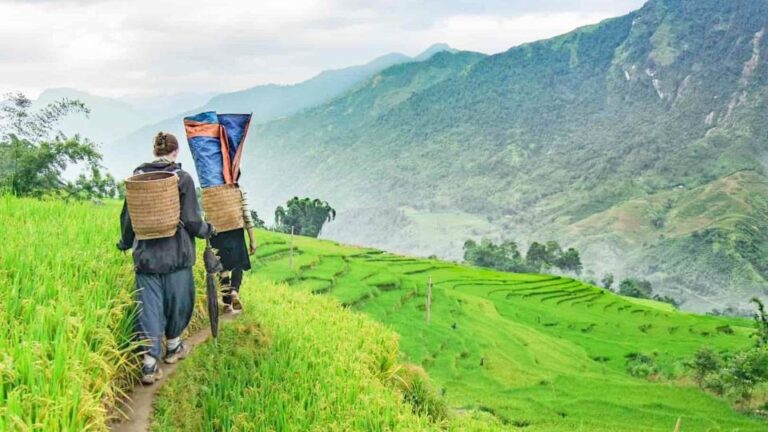 2-Day Sapa Adventure With Long Treks – Overnight in Hotel