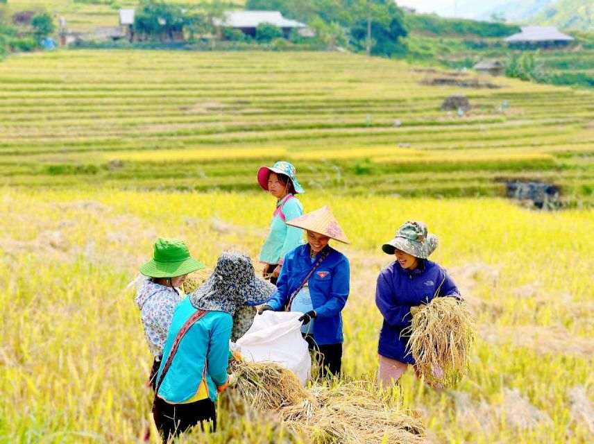 2-Day Sapa Ethnic Homestay Experiences