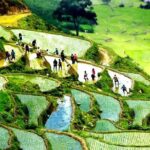 1 2 day sapa small group guided trekking by sleeper bus hanoi 2-Day Sapa Small-Group Guided Trekking by Sleeper Bus - Hanoi