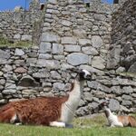1 2 day tour at sacred valley and machu picchu by train 2-Day Tour at Sacred Valley and Machu Picchu by Train