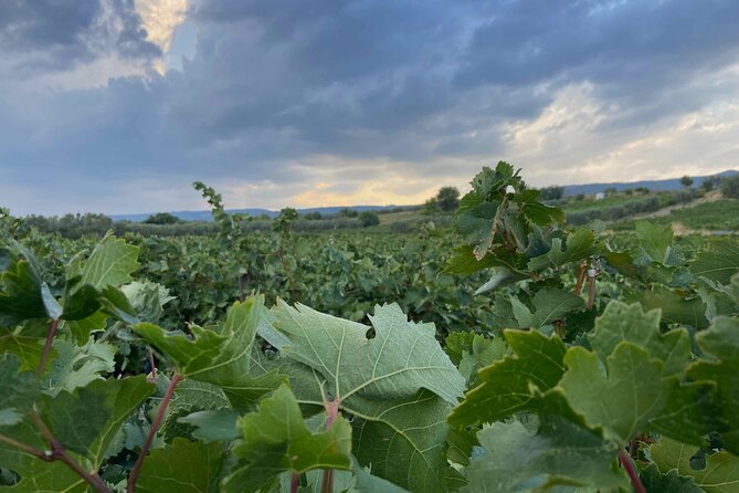 1 2 day wine tasting tour along the thracian wine route 2-Day Wine Tasting Tour Along the Thracian Wine Route