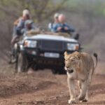 1 2 day zulu safari adventure from durban 2 Day Zulu Safari Adventure From Durban