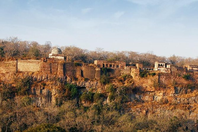 1 2 days ranthambore tiger safari with tickets 2 Days Ranthambore Tiger Safari With Tickets