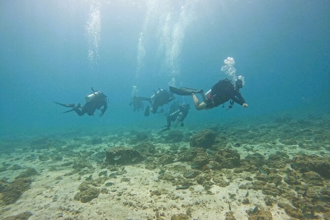 2 Dives for Certified Divers in Fujairah With BBQ Lunch