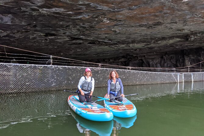 2-Hour Paddleboard Adventure to Nickajack Bat Cave