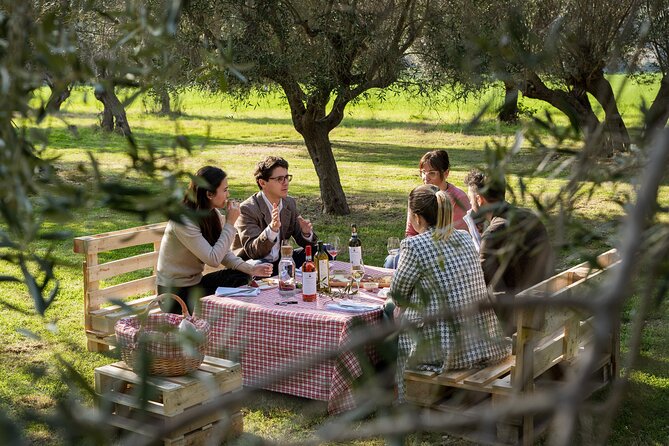 2-Hour Picnic Among the Olive Trees With Typical Abruzzese Products