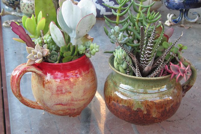 2- Hour Pottery Workshop and Studio Tour in Ojai