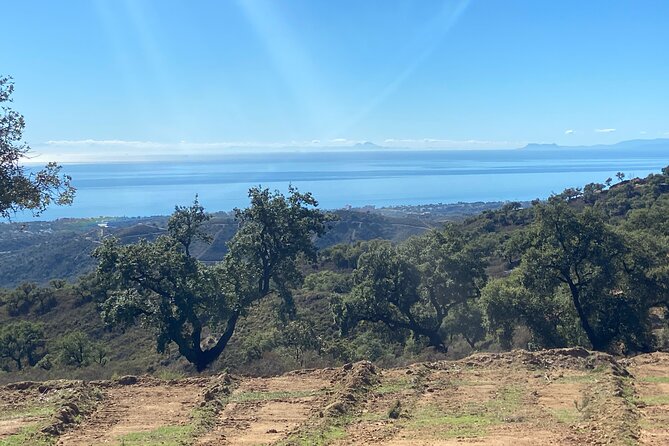 2 Hour Quad/ATV Tour Off-Road Adventure in Mijas